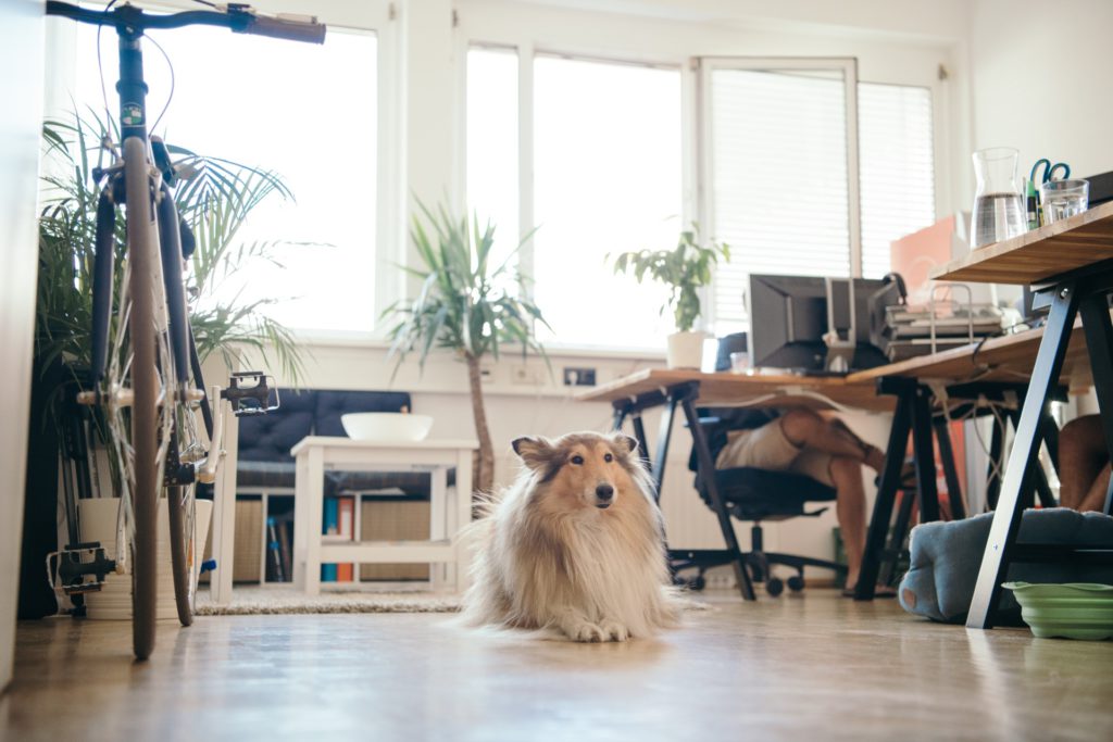 Büro im N4
