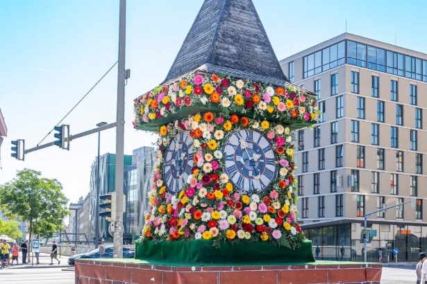 AnnenBlüte 2026